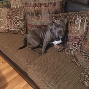 Meet your Posher, Richard